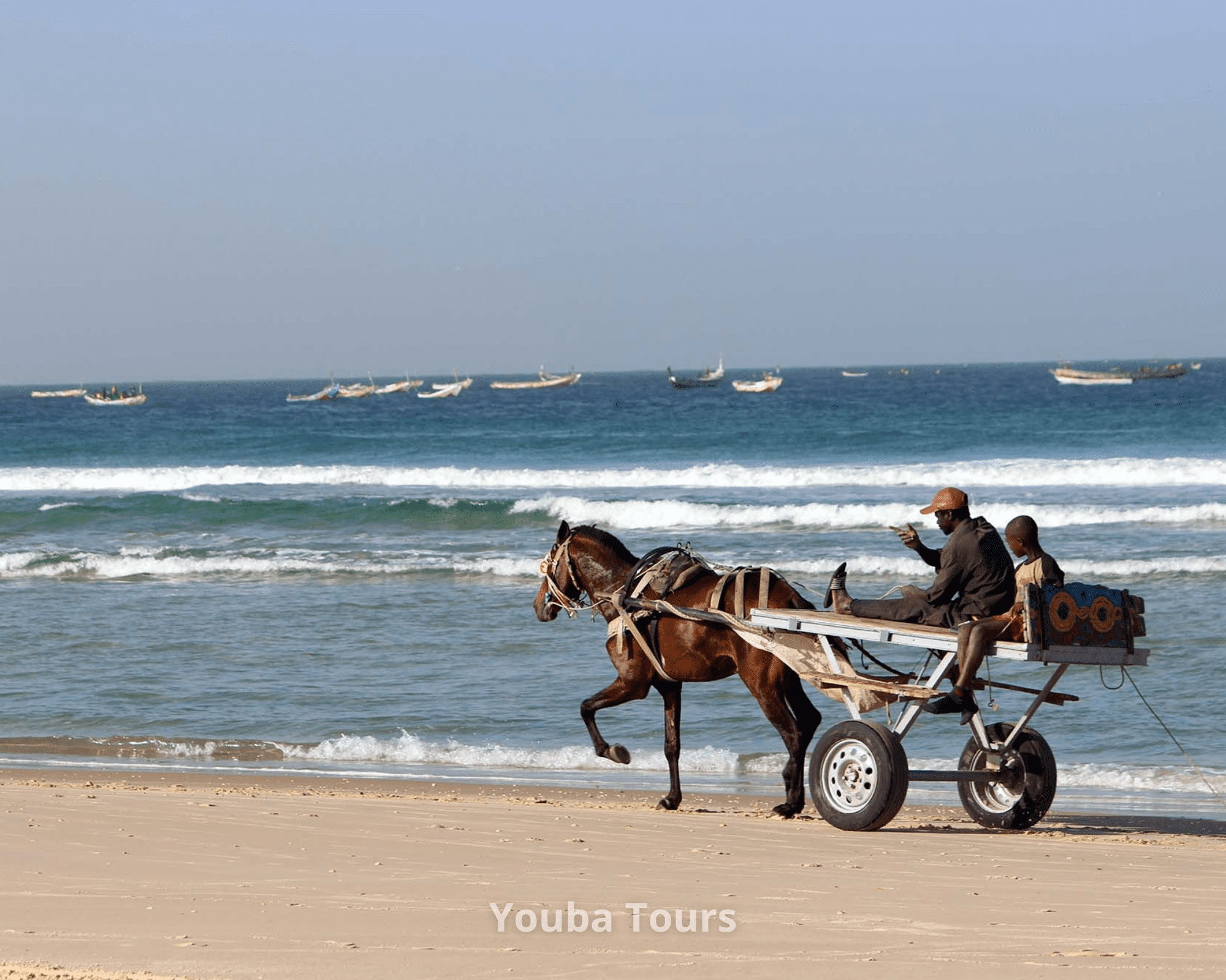 Youba Tours Excursions Senegal (12)